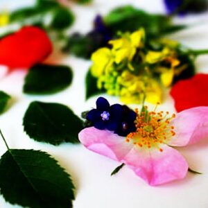 Descubre todo sobre Flores de Bach