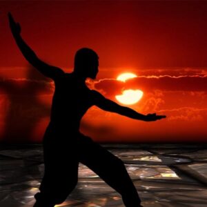 Descubre todo sobre Kung Fu