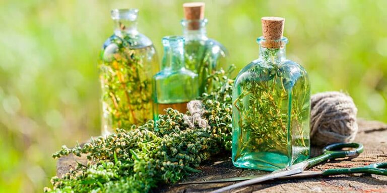 Naturopatía ¿qué Es Y Para Qué Sirve Sanaterapia 6162