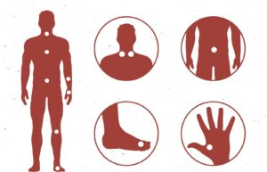 Descubre todo sobre Conoce los Meridianos de Acupuntura