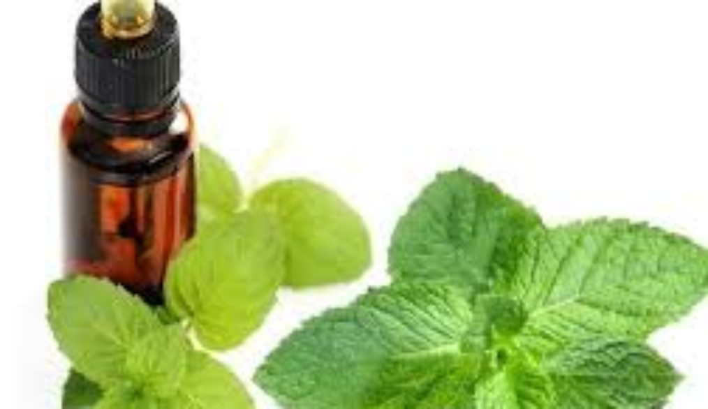 Información Rápida para 