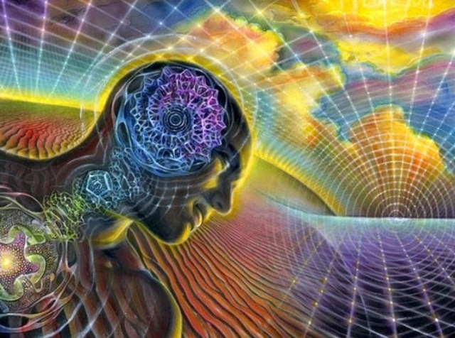 Conoce Todo Sobre la Psiconáutica